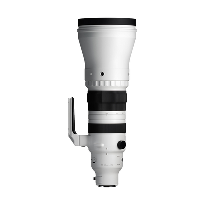 Sigma 300-600mm f/4 DG OS Sports Lens (Sony E)
