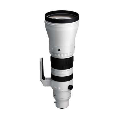 Sigma 300-600mm f/4 DG OS Sports Lens (Sony E)