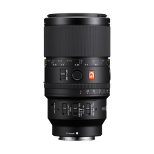 Sony FE 100mm f/2.8 Macro GM Lens
