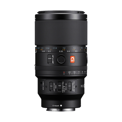 Sony FE 100mm f/2.8 Macro GM Lens