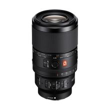 Sony FE 100mm f/2.8 Macro GM Lens