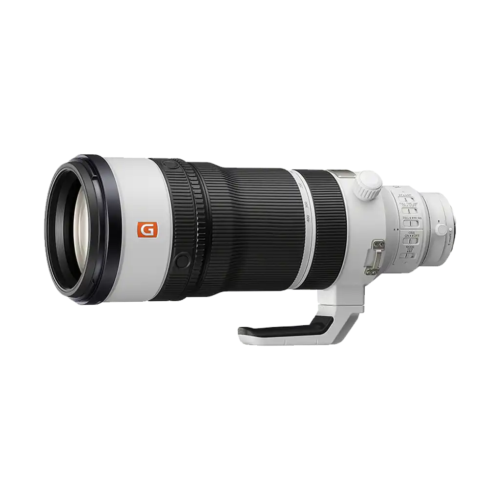 Sony FE 100-400mm f/4.5 GM OSS Lens