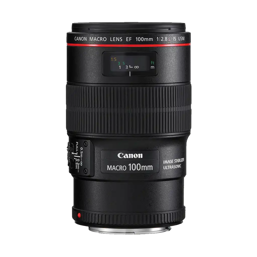 USED Canon EF 100mm f/2.8L IS USM Macro Lens - Rating 7/10 (S47419)
