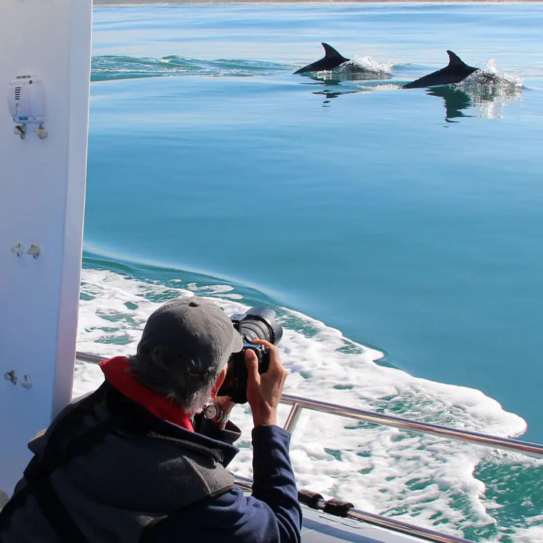 ORMS x Canon: Marine Big 5 Photography Experience