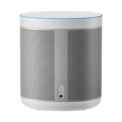 Xiaomi Smart Speaker