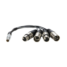 Atomos 10-Pin LEMO Type to XLR Breakout Cable for Shogun