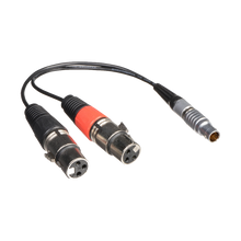 Atomos XLR Breakout Cable for Shogun (Input Only)