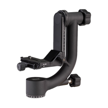 Benro GH-2 Gimbal Head with PL-100 Plate