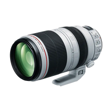 Canon EF 100-400mm f/4.5-5.6 L IS II USM Lens