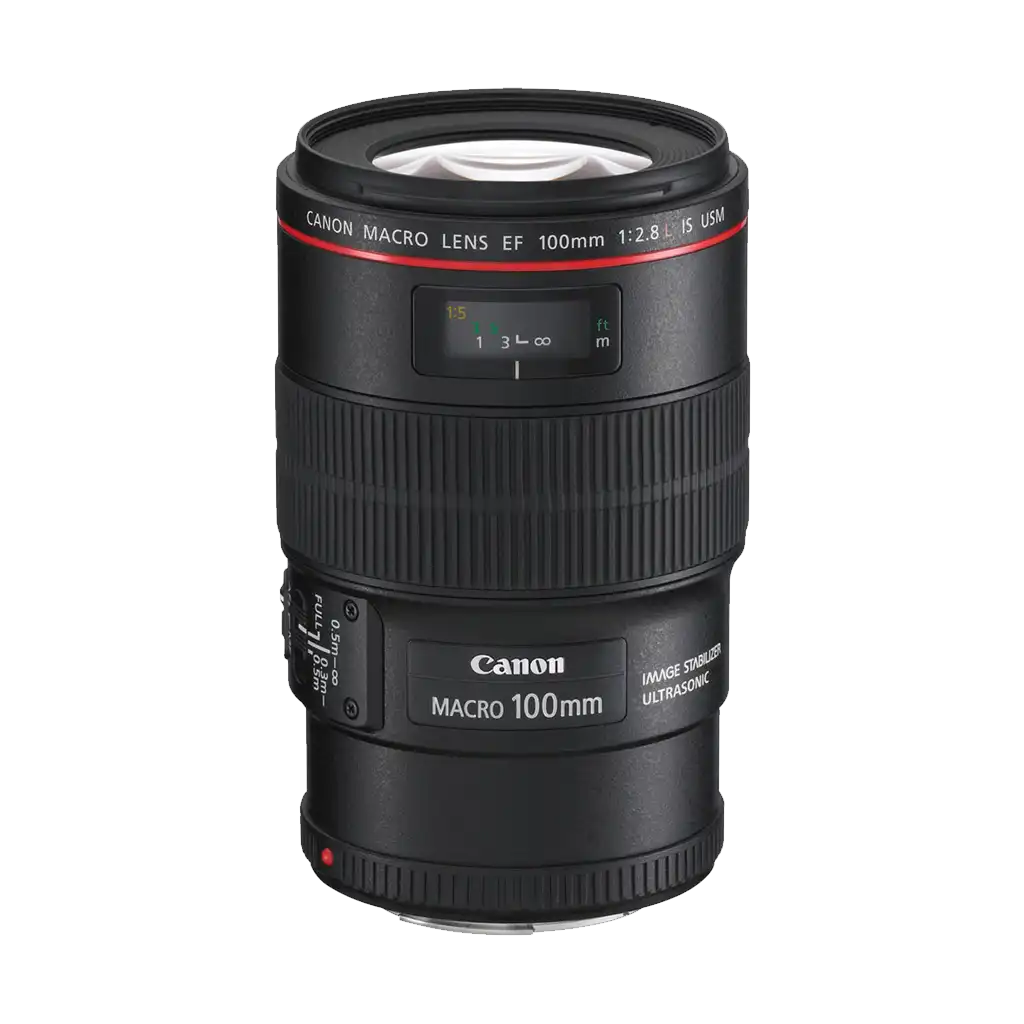 Rental: Canon EF 100mm f/2.8 L IS USM Macro Lens