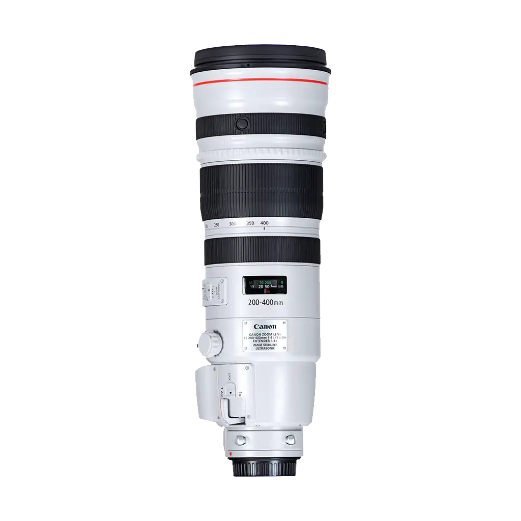 Rental: Canon EF 200-400mm f/4 L IS USM With Lens Extender 1.4x