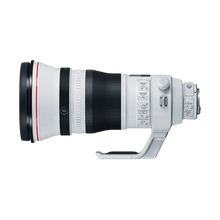 Canon EF 400mm f/2.8L IS III USM Lens
