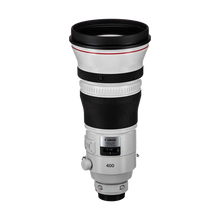 Canon EF 400mm f/2.8L IS III USM Lens
