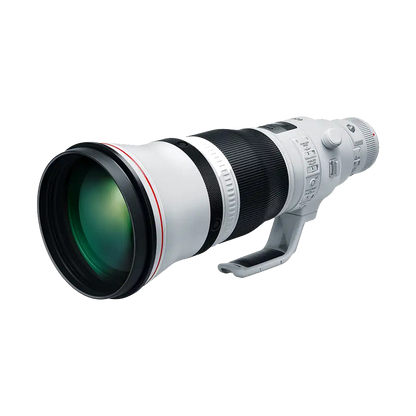 Canon EF 600mm f/4L IS III USM Lens