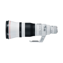 Canon EF 600mm f/4L IS III USM Lens