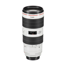 Rental: Canon EF 70-200mm f/2.8L IS III USM Lens