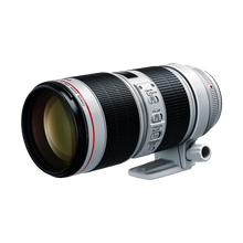 Canon EF 70-200mm f/2.8L IS III USM Lens