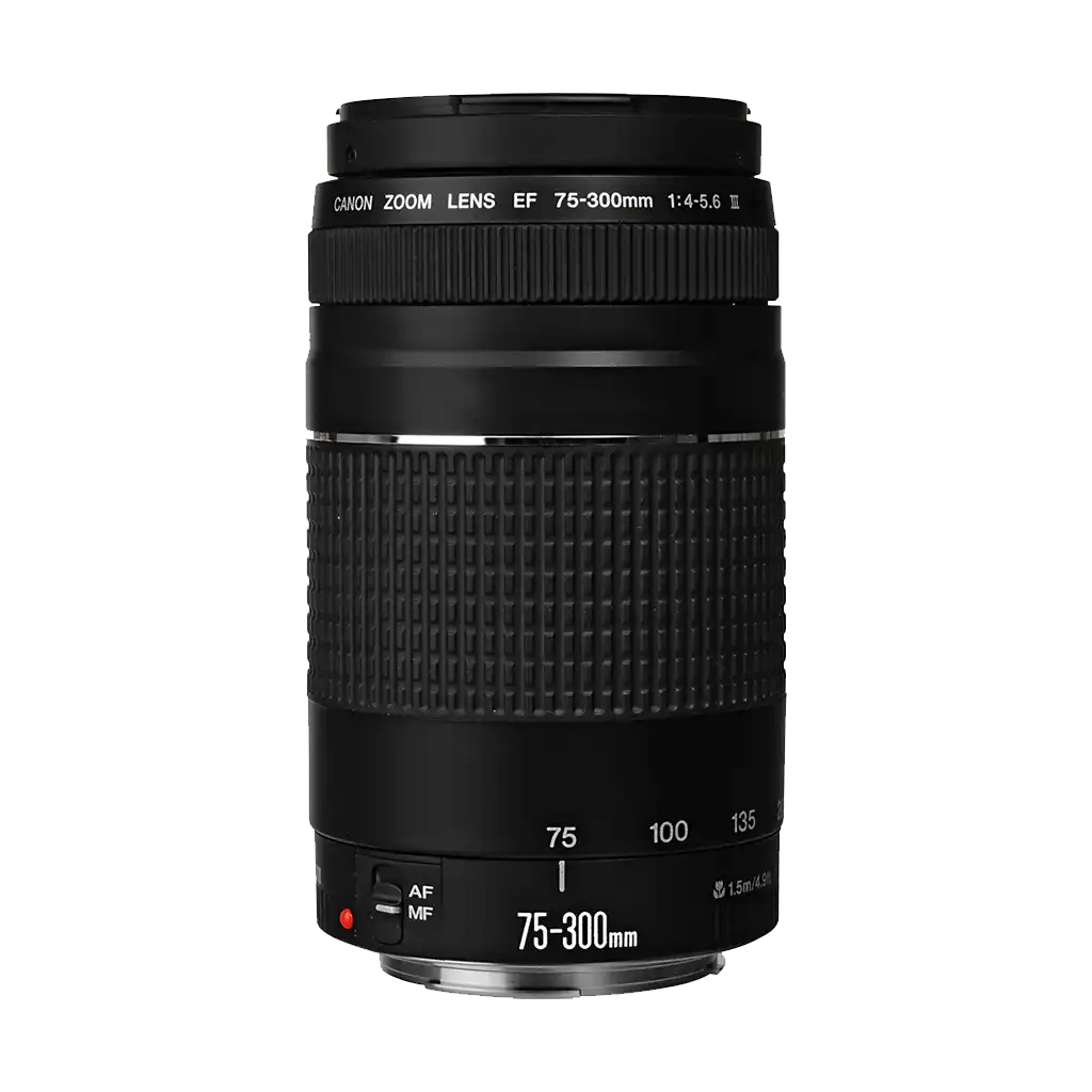 Canon EF 75-300mm f/4-5.6 III Lens