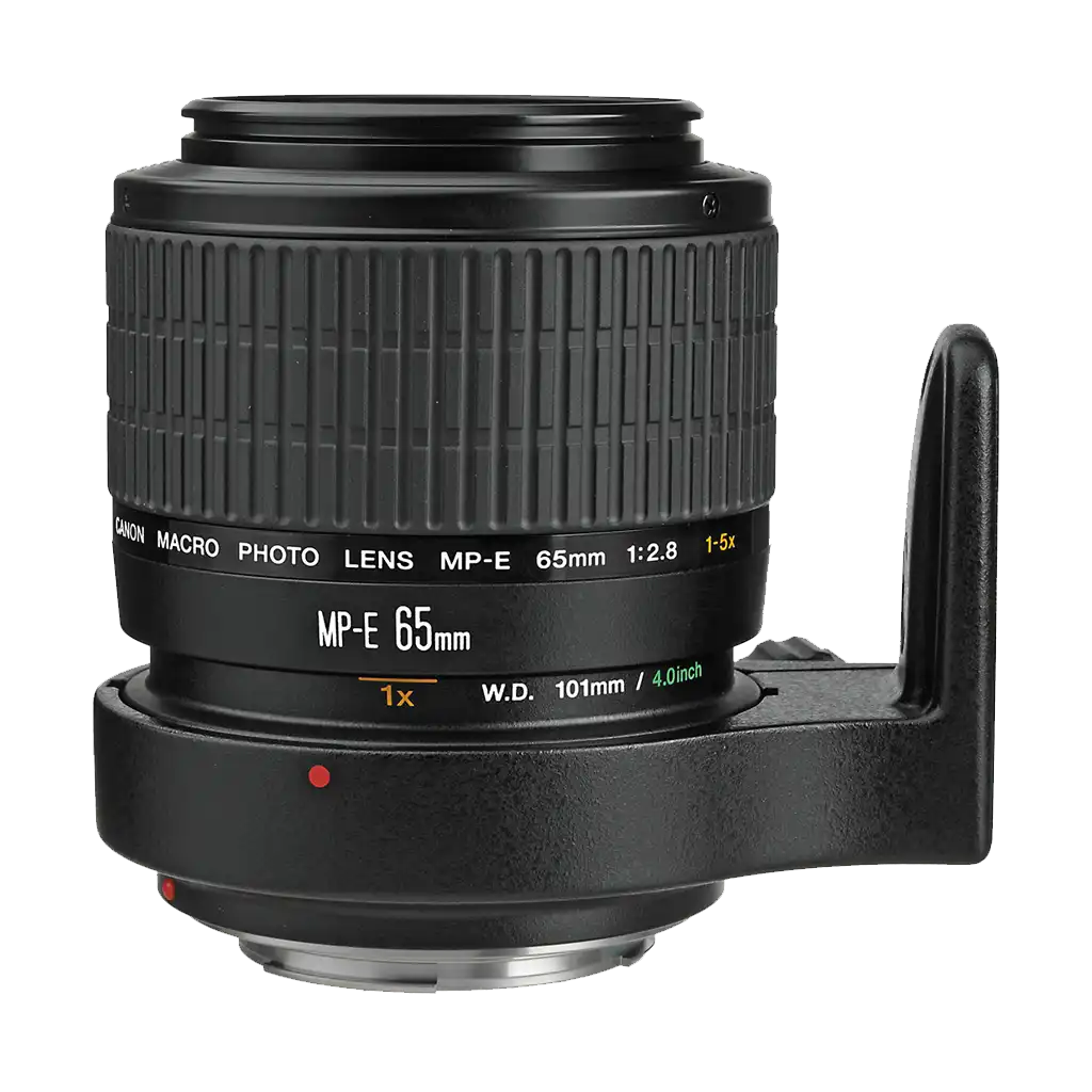 Canon MP-E 65mm f/2.8 (1-5x) Macro Lens