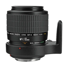 Canon MP-E 65mm f/2.8 (1-5x) Macro Lens