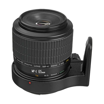 Canon MP-E 65mm f/2.8 (1-5x) Macro Lens