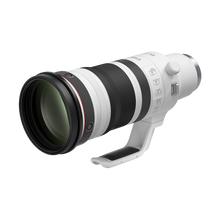 Canon RF 100-300mm f/2.8 L IS USM Lens
