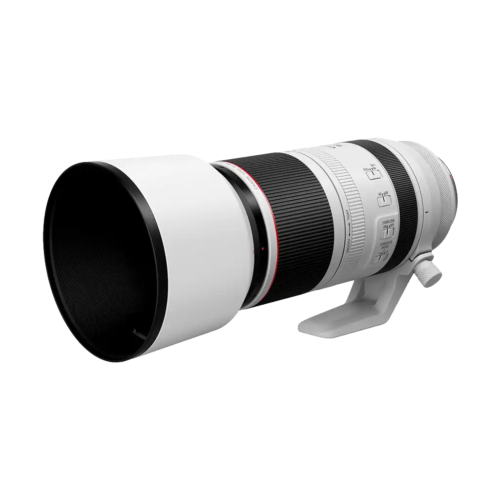 Canon RF 100-500mm f/4.5-7.1L IS USM Lens