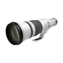 Canon RF 600mm f/4L IS USM Lens