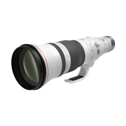 Canon RF 600mm f/4L IS USM Lens