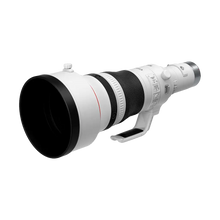 Canon RF 800mm f/5.6 L IS USM Lens