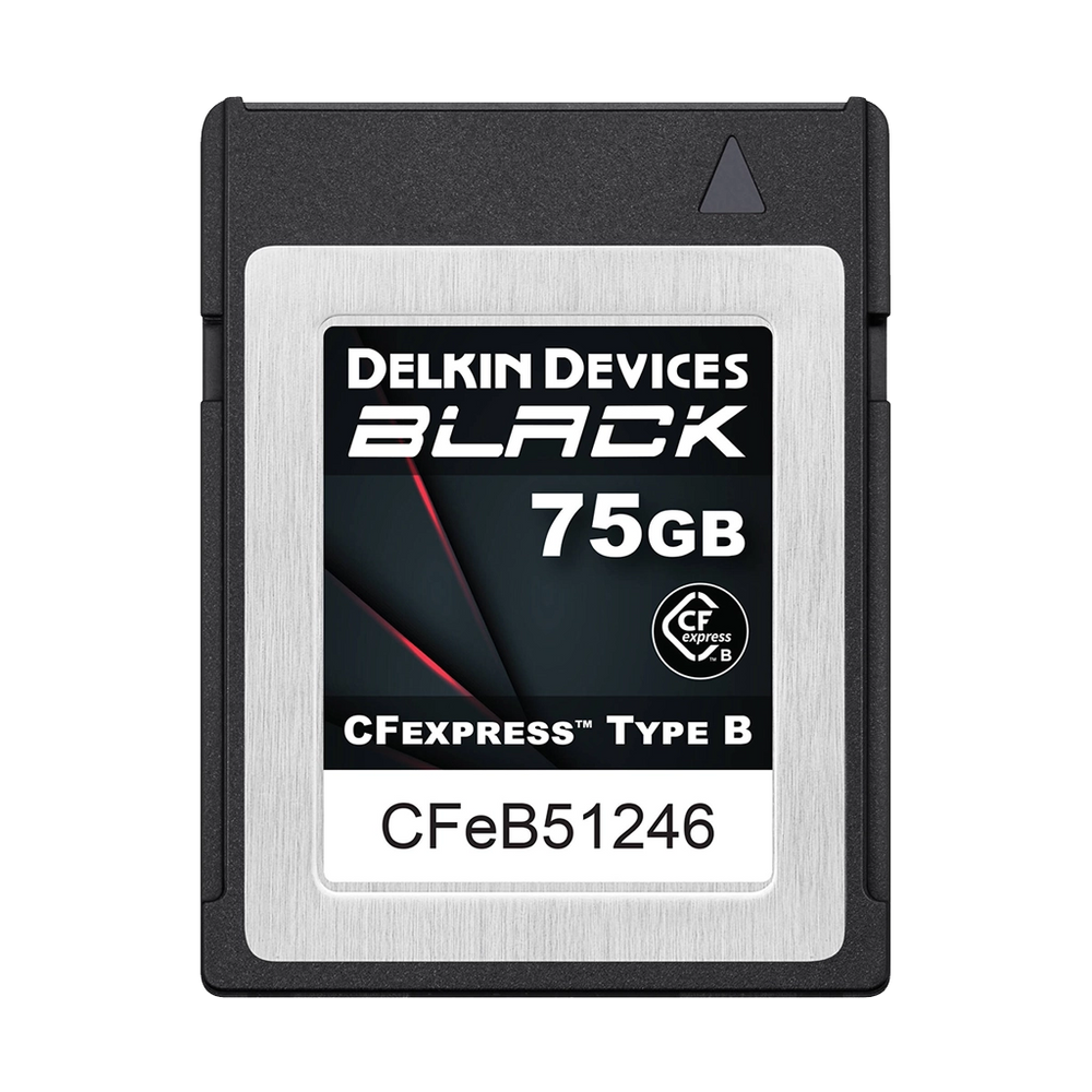 Карты памяти cfexpress. Cfexpress type b. cfexpress type a. cfexpress type b cards. delkin device black 128 sd bhphoto.