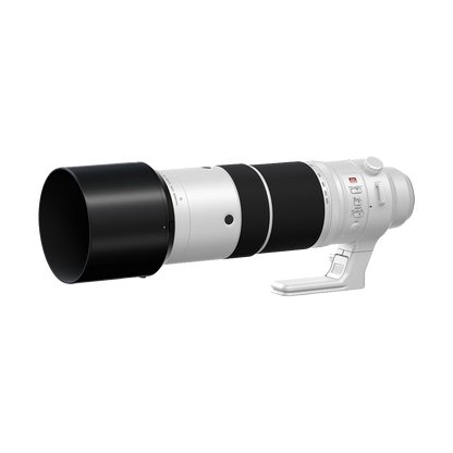 Fujifilm XF 150-600mm f/5.6-8 R LM OIS WR Lens
