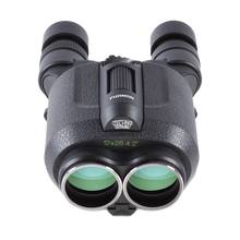 Fujinon 12x28 TS1228 Techno-Stabi Image-Stabilised Binocular
