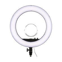 Godox LR160 Bi-Color Ringlight (Black)