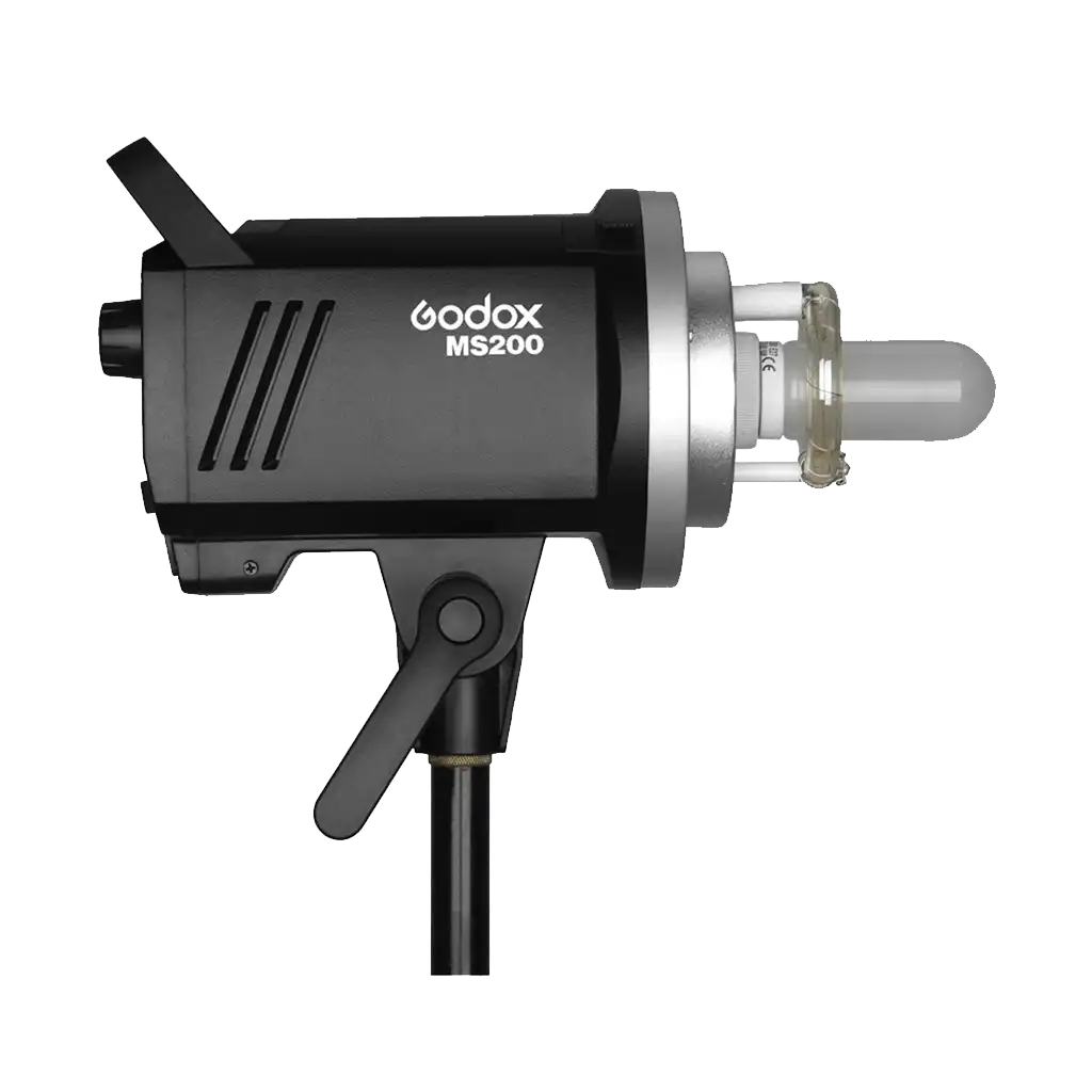 Godox MS200 2-Light Studio Flash Kit