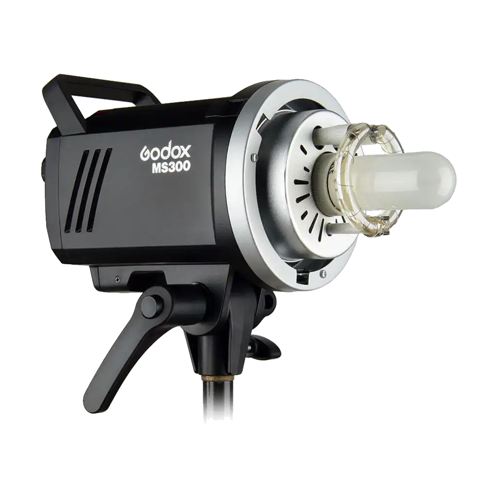 Godox MS300 2 Light Studio Flash Kit