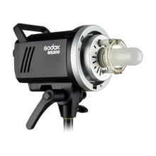 Godox MS300 2 Light Studio Flash Kit