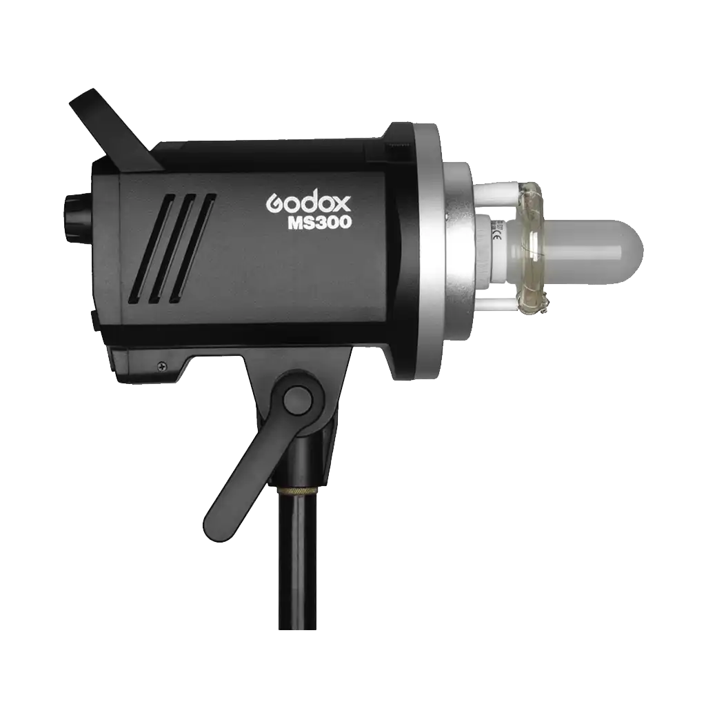 Godox MS300-D 3-Monolight Kit