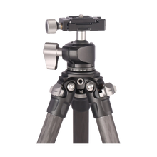 Leofoto Ranger LS-224C + LH-25 Carbon Fiber Tripod Kit