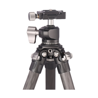 Leofoto Ranger LS-224C + LH-25 Carbon Fiber Tripod Kit