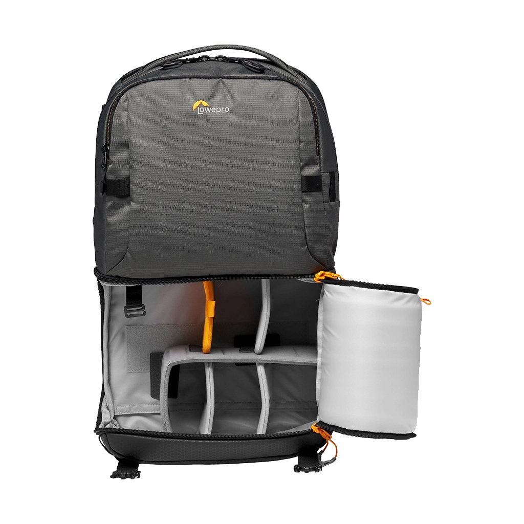 Lowepro Fastpack BP 250 AW III (Grey)