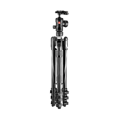 Manfrotto Befree 2N1 Aluminium Tripod with 494 Ball Head (Lever Lock)