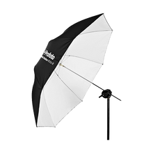 Profoto Shallow White Umbrella (Medium 105cm 41")