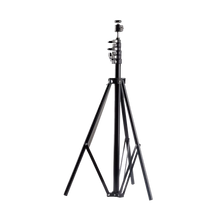 Rental: Light Stand
