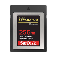SanDisk Extreme PRO 256GB CFexpress Memory Card Type B