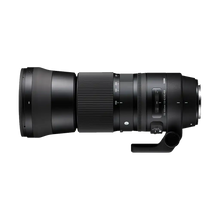 Rental: Sigma 150-600mm f/5-6.3 DG OS HSM Contemporary Lens (Nikon)