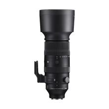 Sigma 60-600mm f/4.5-6.3 DG DN OS Sports Lens (Sony E)