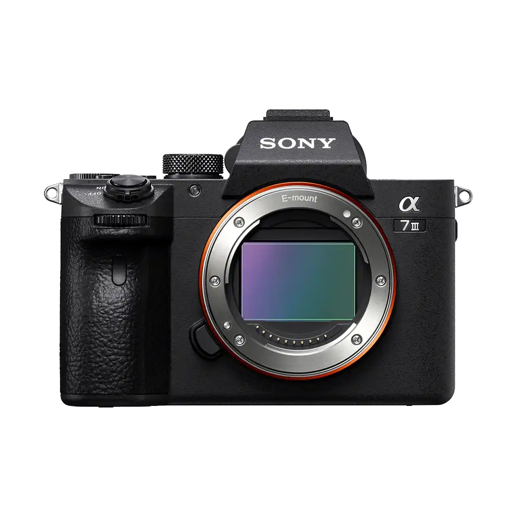 Rental: Sony a7 III Camera Body