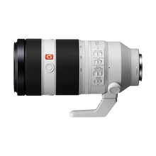 Rental: Sony FE 100-400mm f/4.5-5.6 GM OSS Lens